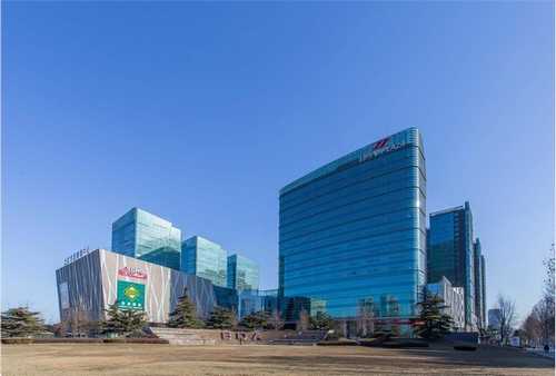 国内2PPLUS双光子显微镜的成像视野