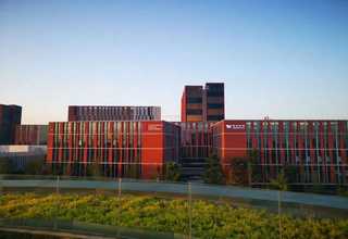 武汉硚口区绿化养护施肥