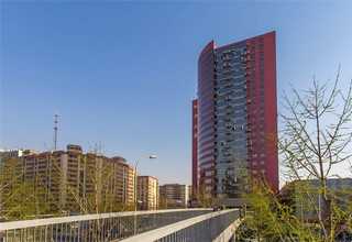 西藏植物多糖哪家好